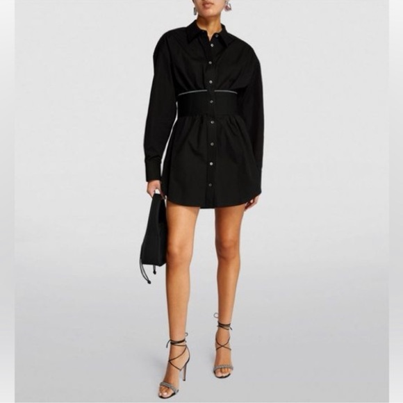 Alexander wang button down dress - Picture 2 of 9